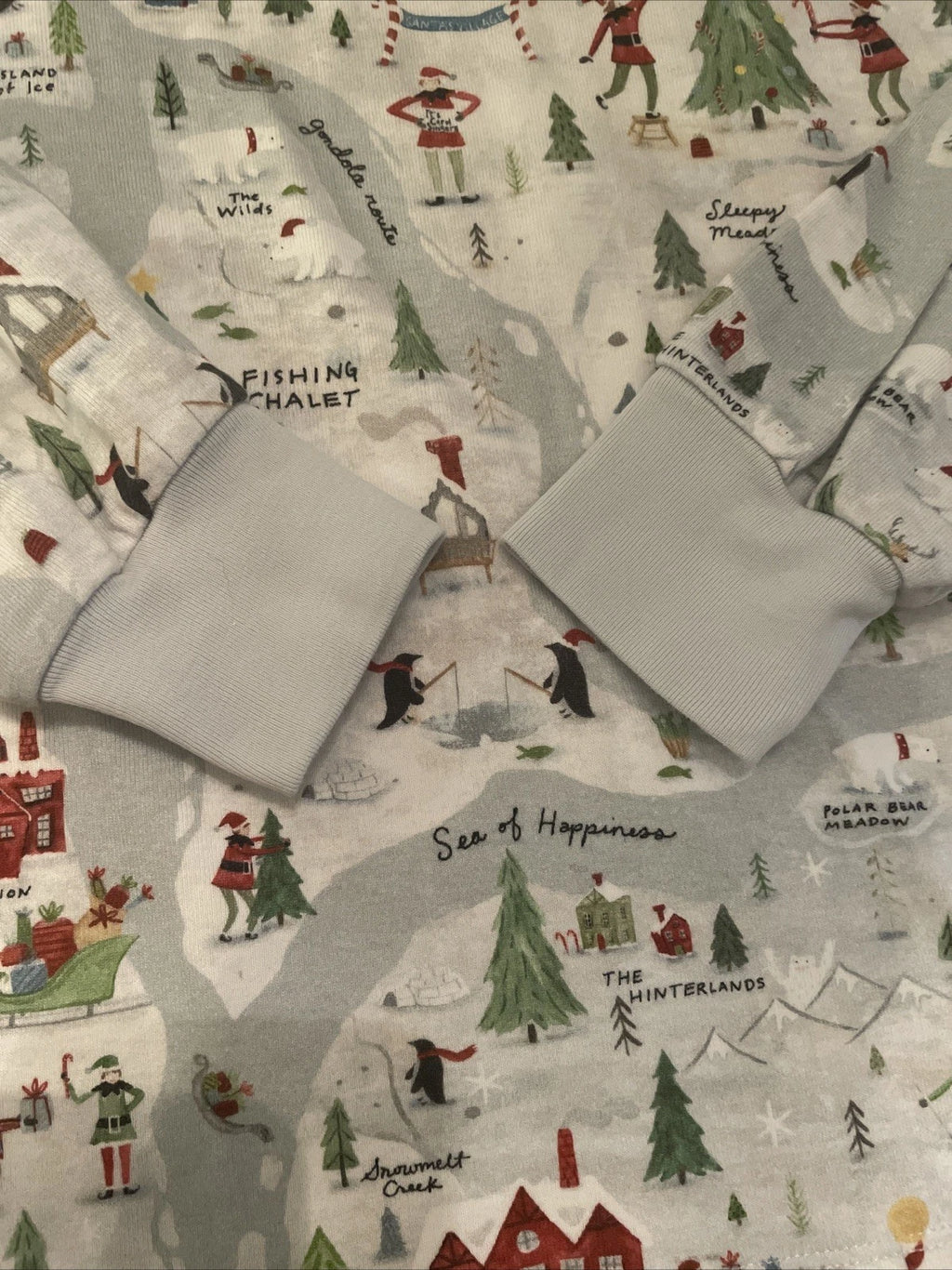 Pottery Barn Adult Holiday Pajama Set XS Blue Graphic Snug Fit