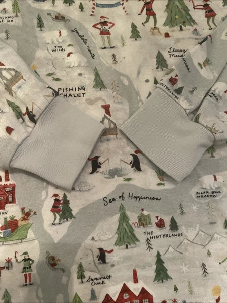 Pottery Barn Adult Holiday Pajama Set XS Blue Graphic Snug Fit