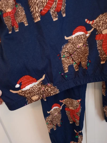 Next Hamish Highland Cow Blue Christmas Pyjamas Size Large 16-18 Tall New